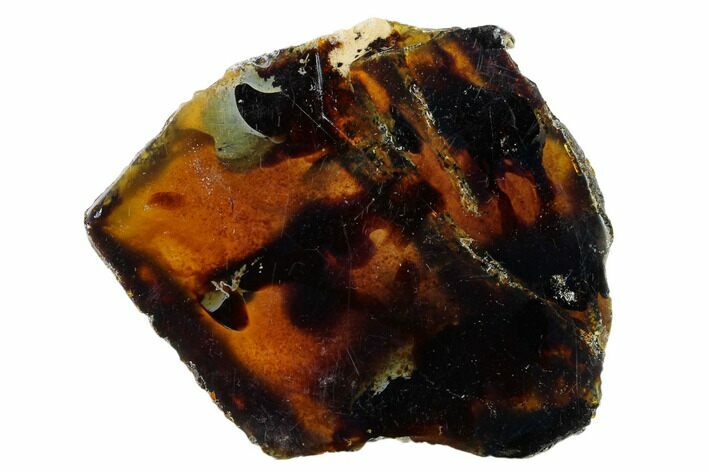 Polished Blue Indonesian Amber - West Java, Indonesia #162542